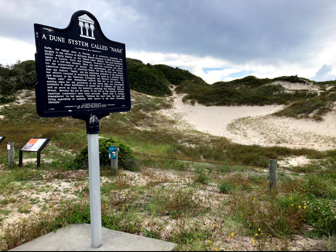 American Beach Nana Sand Dune Photo 6