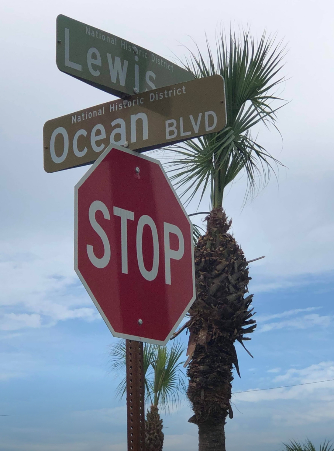American Beach Nana Sand Dune Photo 7
