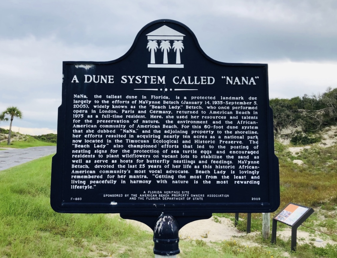 American Beach Nana Sand Dune Photo 8