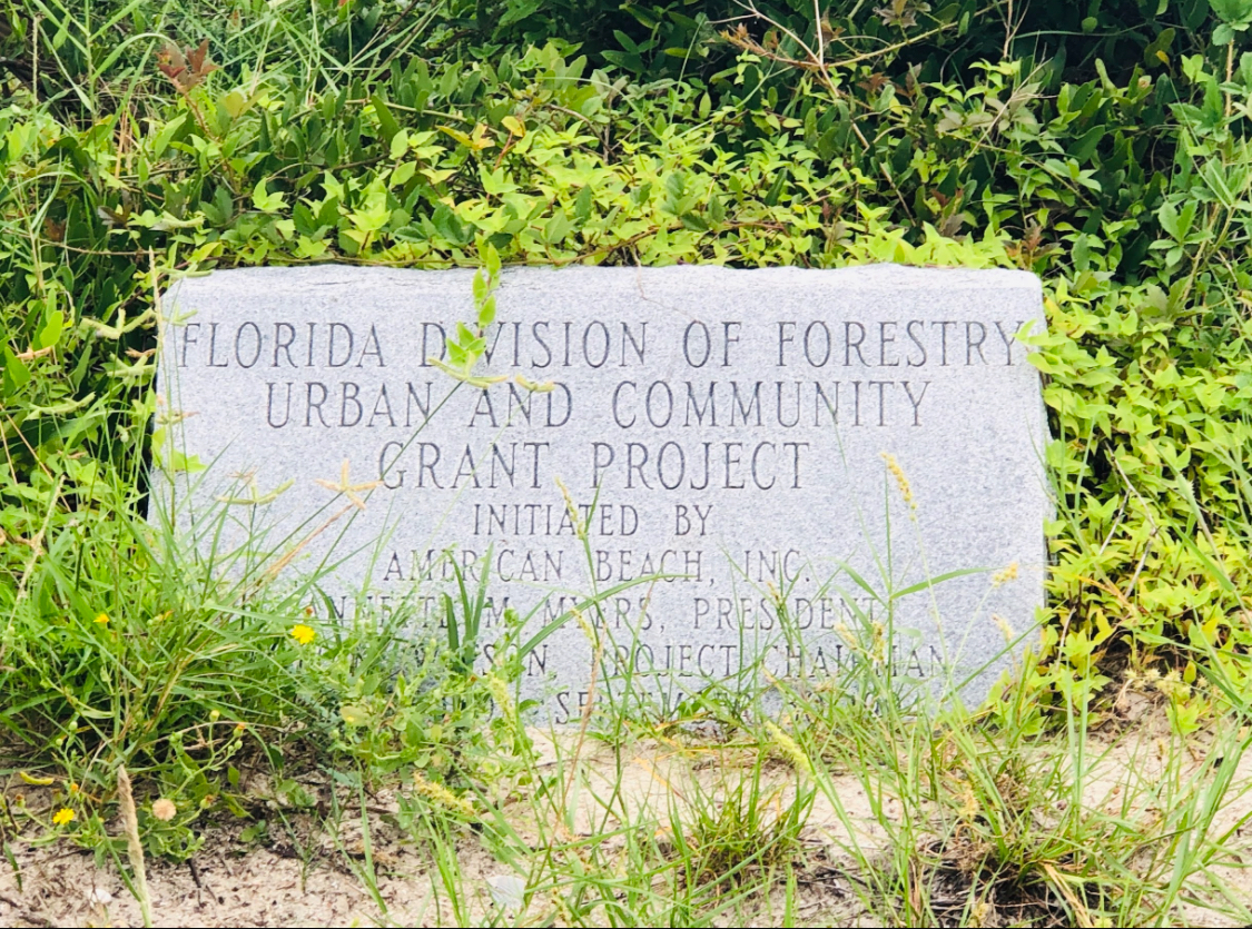 American Beach Nana Sand Dune Photo 9