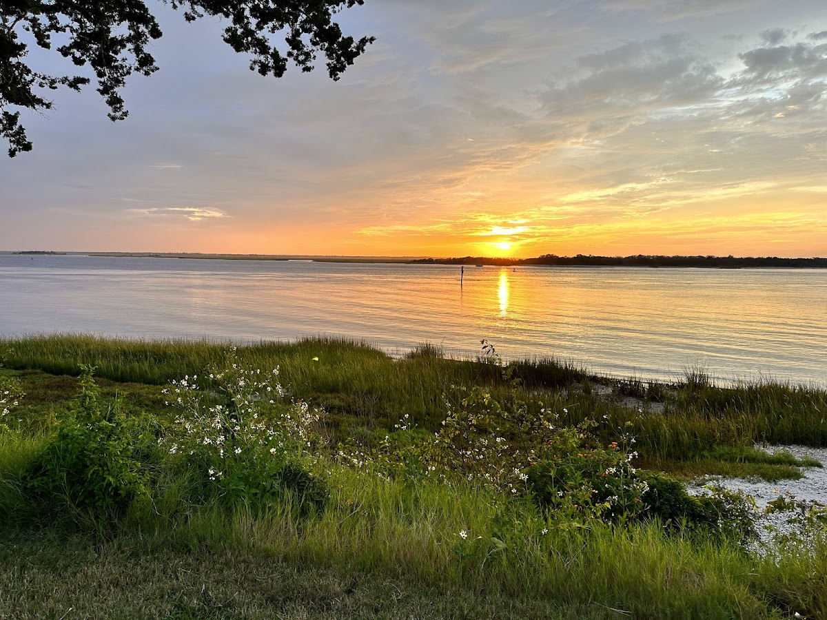 Fernandina Plaza Historic State Park Photo 6