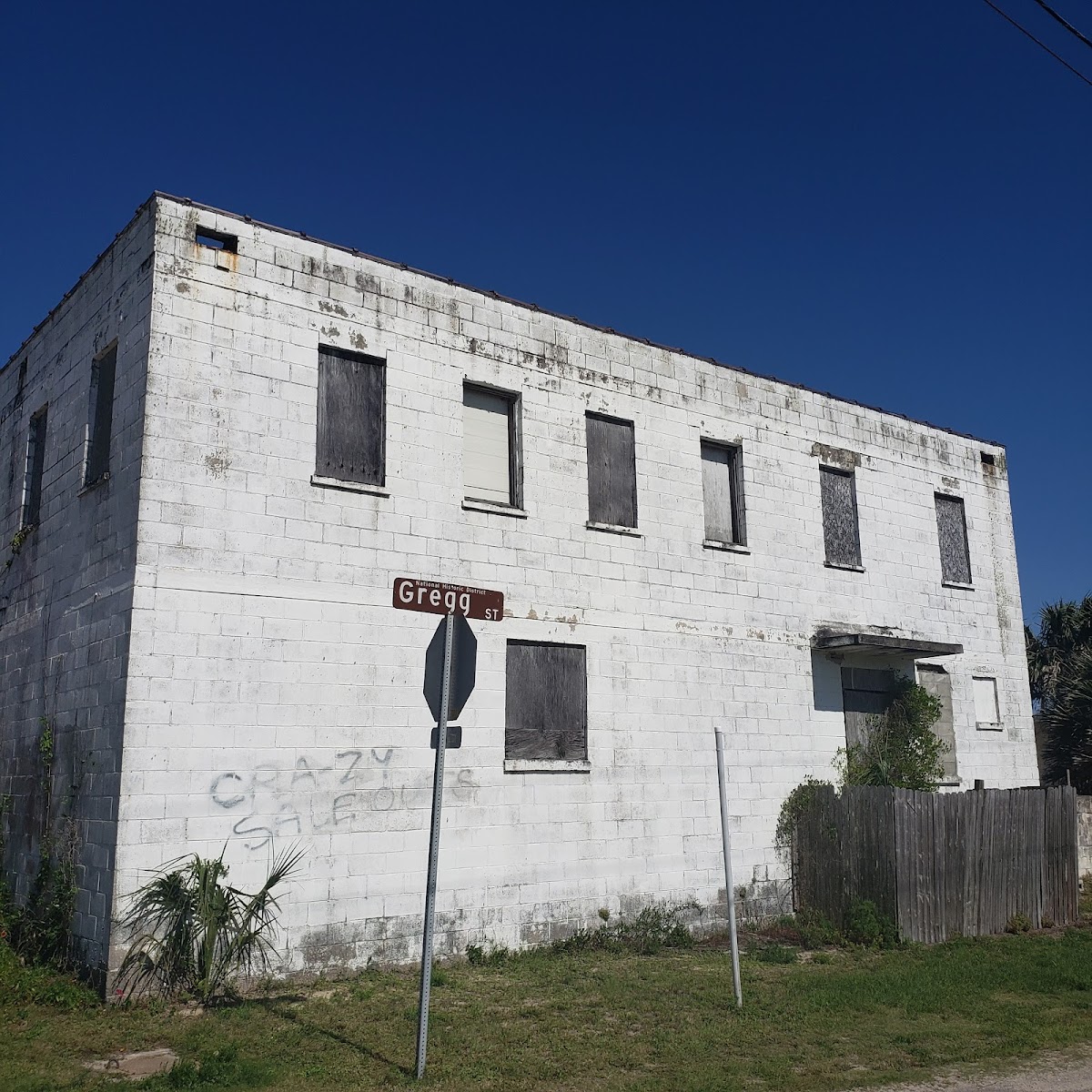 Nana Dune - Tallest in Florida Photo 3