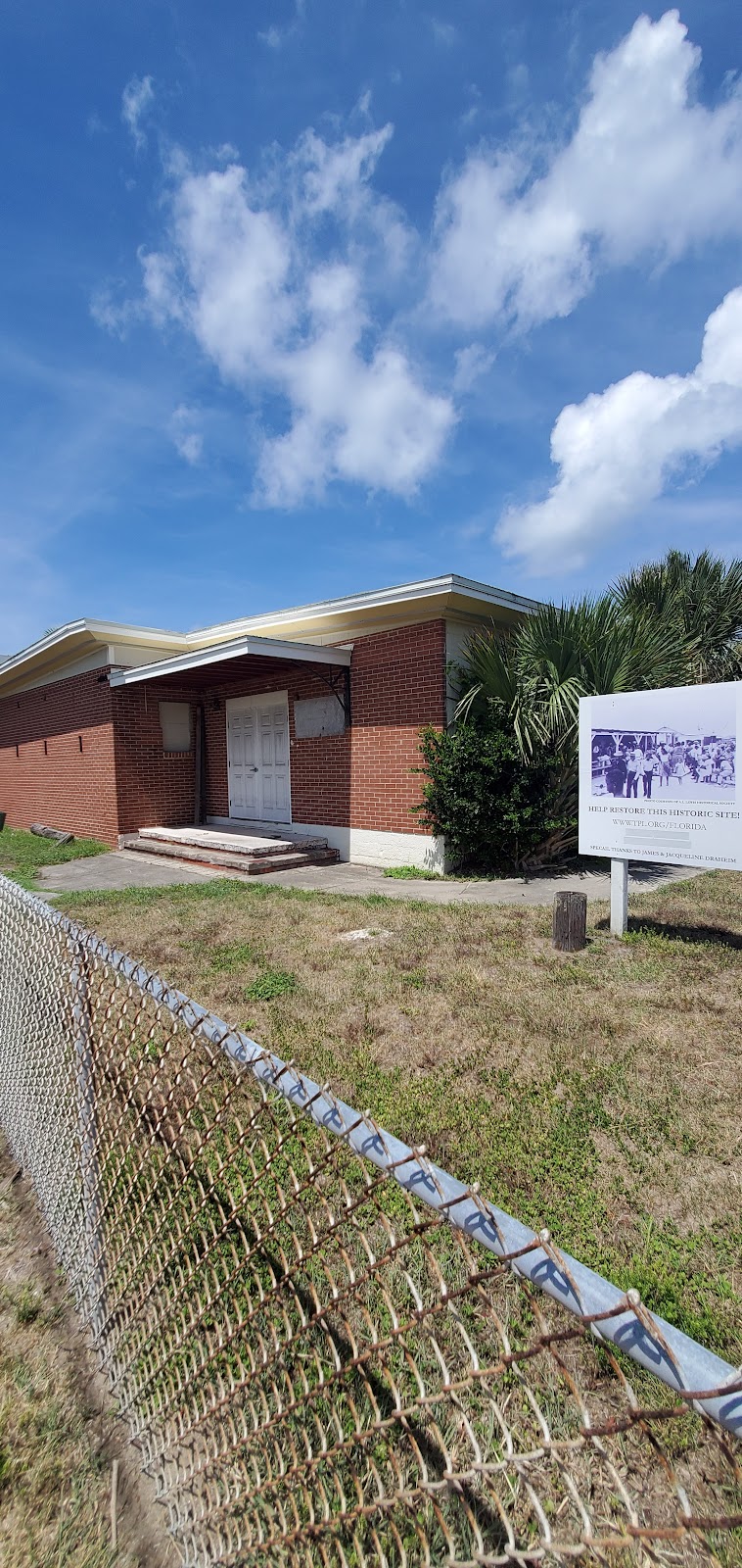 Nana Dune - Tallest in Florida Photo 4