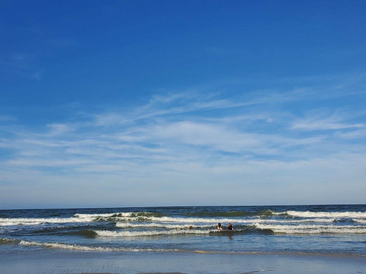 Nana Dune - Tallest in Florida Photo 6