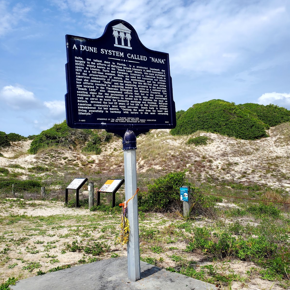 Nana Dune - Tallest in Florida Photo 7