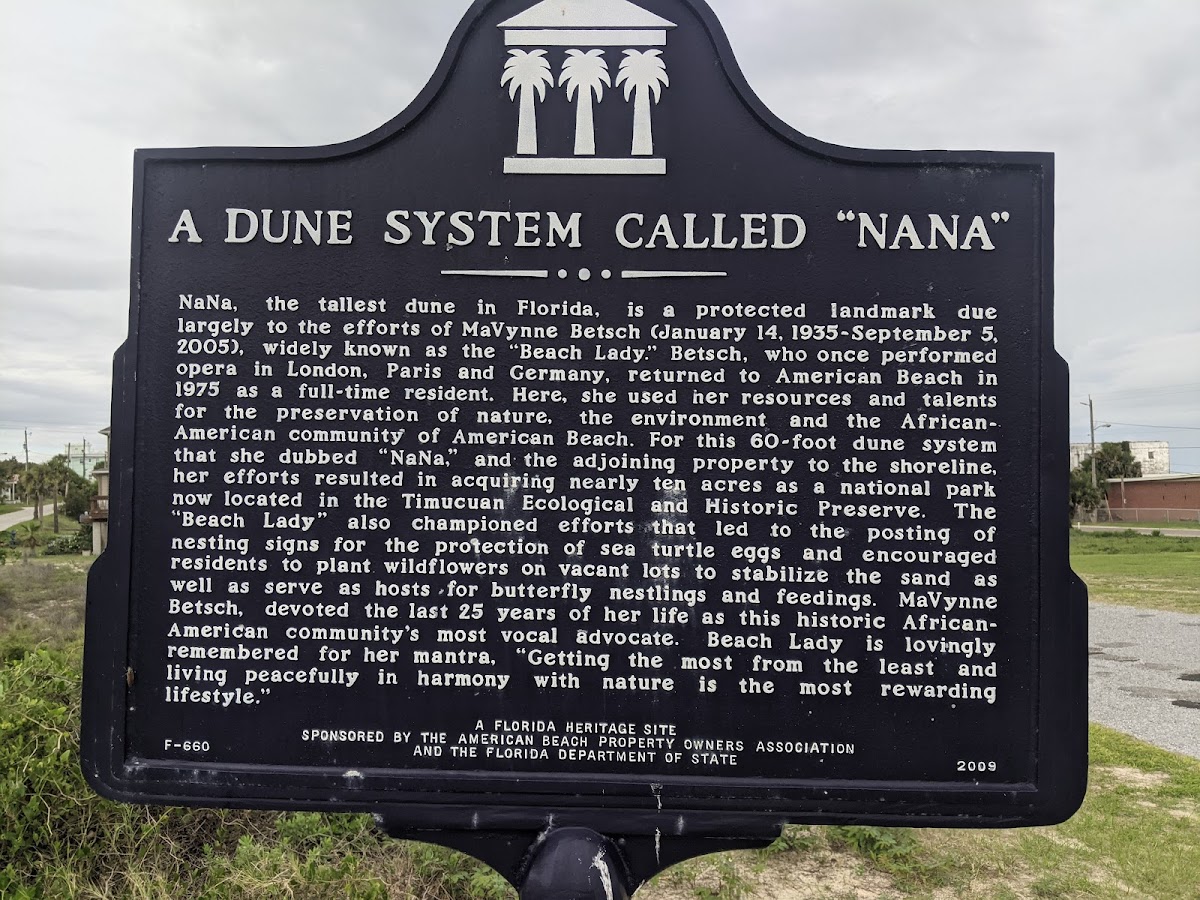 Nana Dune - Tallest in Florida Photo 8