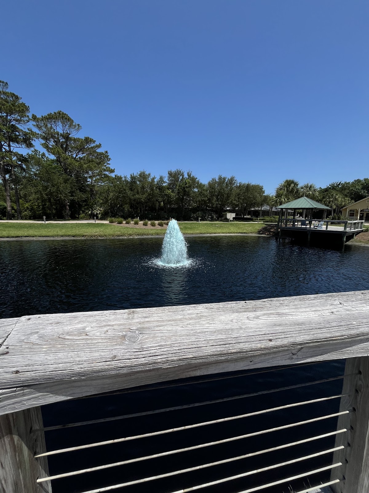 Marché Burette Photo 9