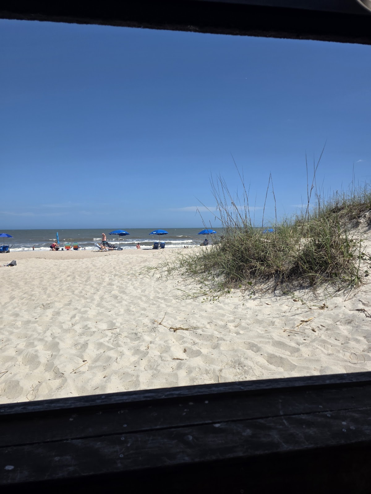 Sandbar Amelia Island Photo 8