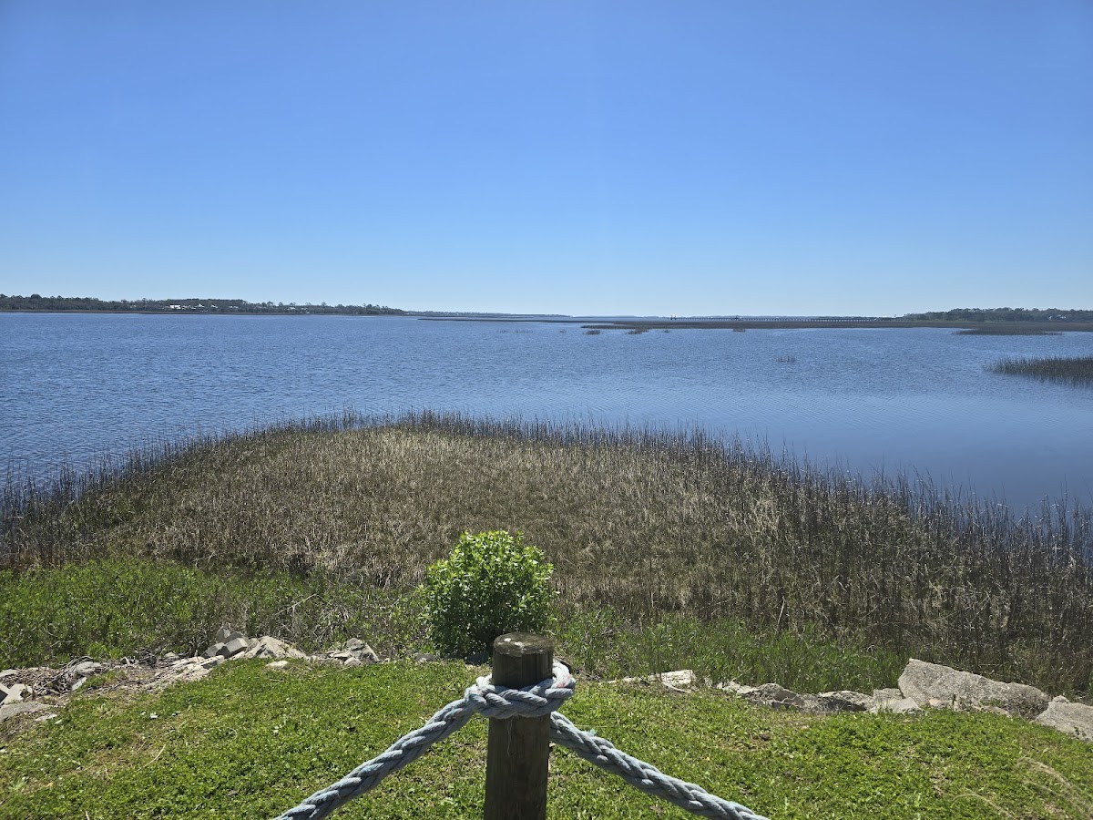 Shucker's Oyster Bar & Grill Photo 7