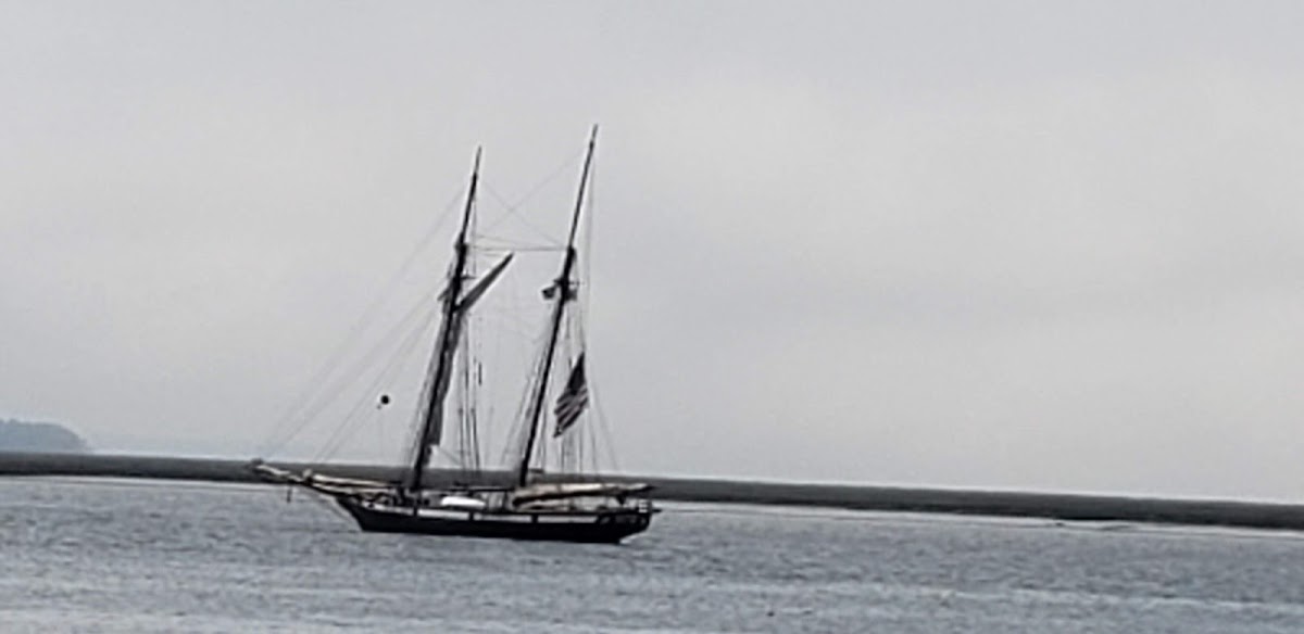 Color It Green Photo 9