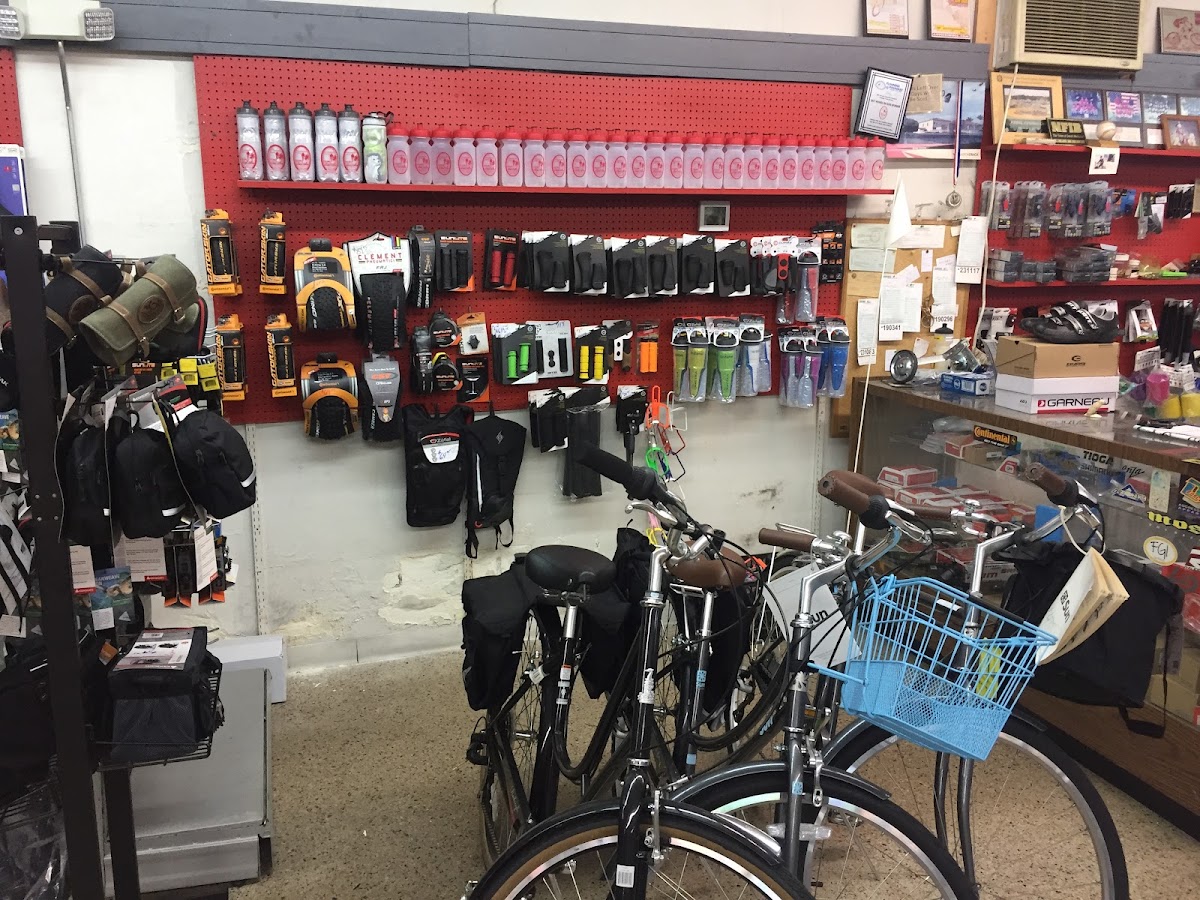 Fernandina Beach Cycling & Fitness Photo 2