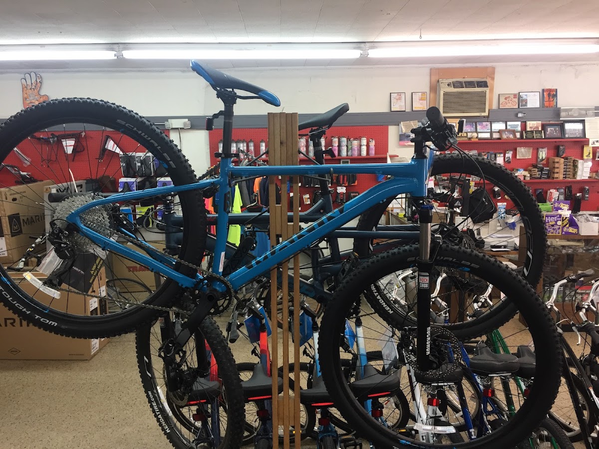 Fernandina Beach Cycling & Fitness Photo 6