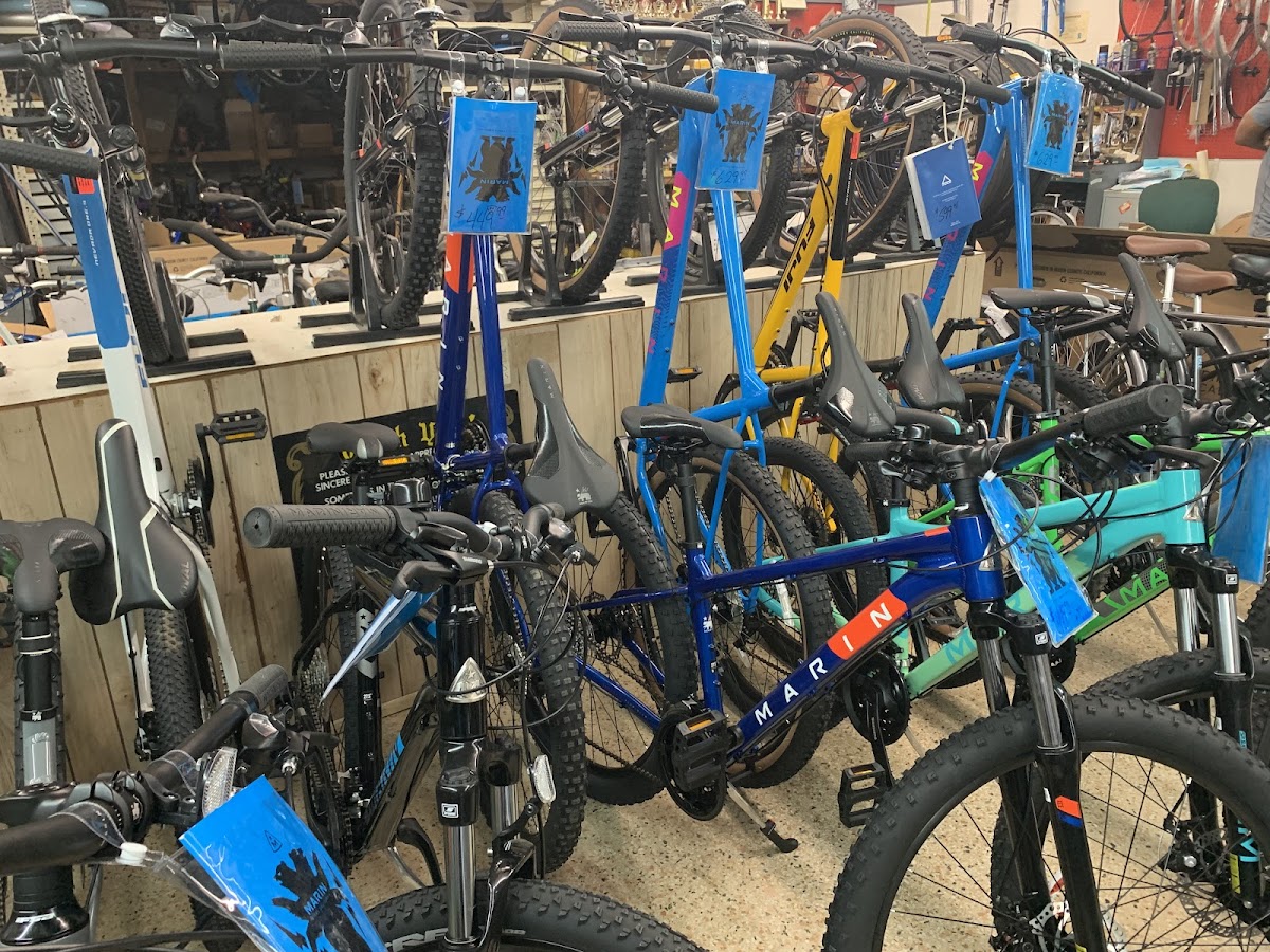 Fernandina Beach Cycling & Fitness Photo 9