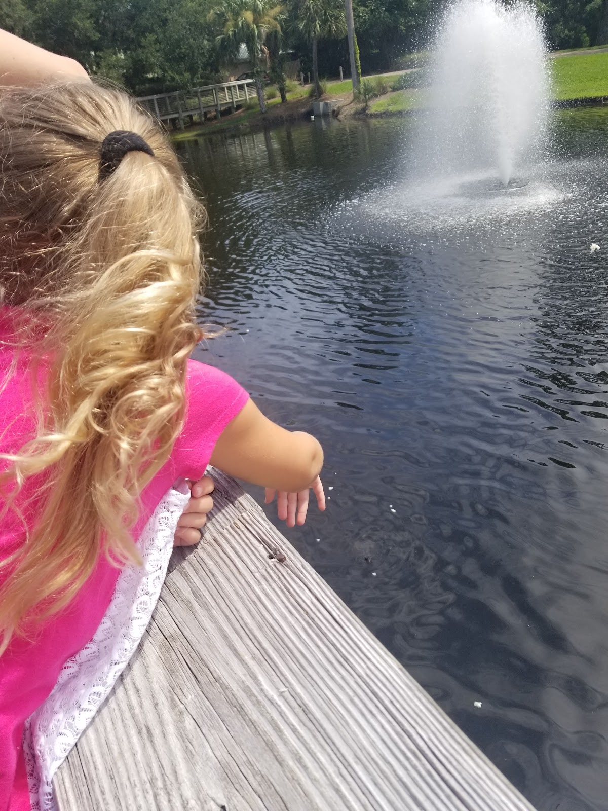 Monkey Barrel of Amelia Photo 8