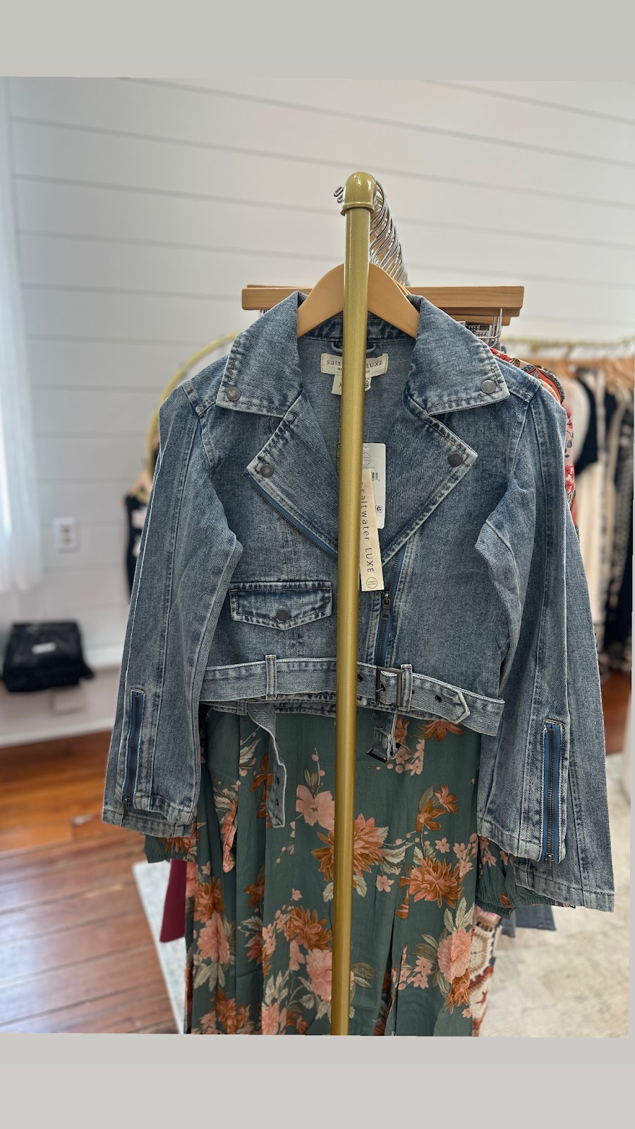 Violet Bloom Photo 2