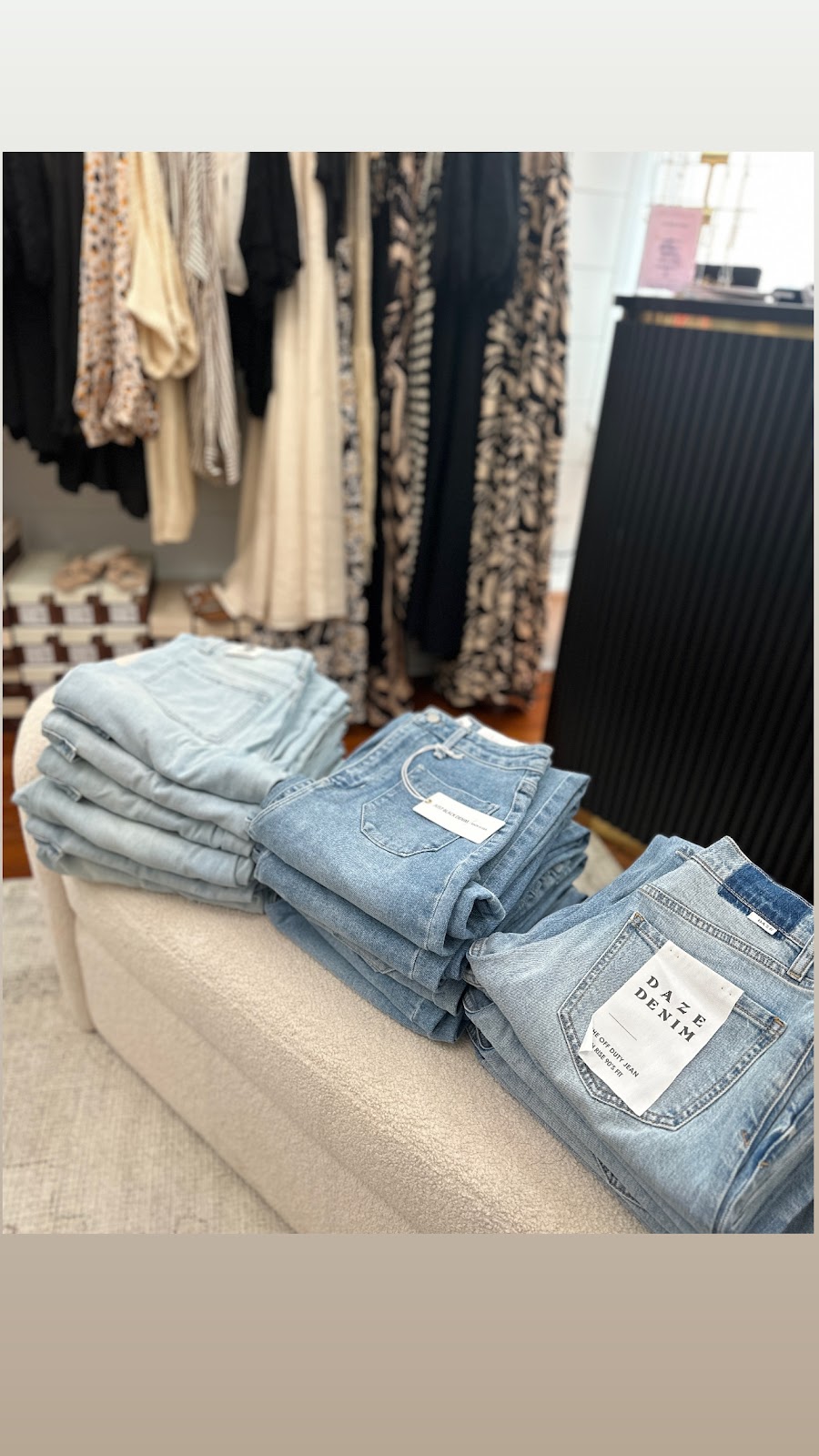 Violet Bloom Photo 4