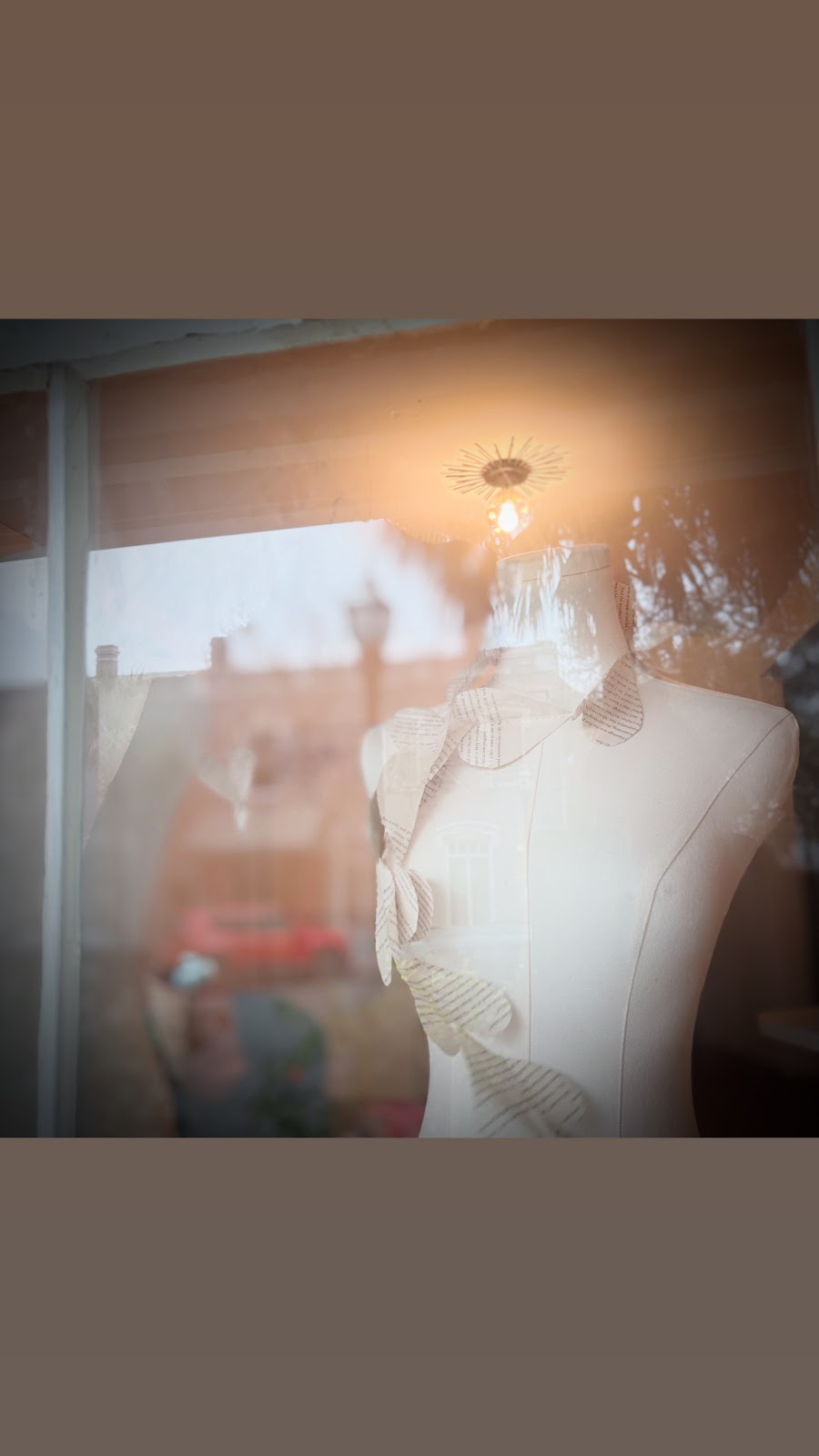 Violet Bloom Photo 7