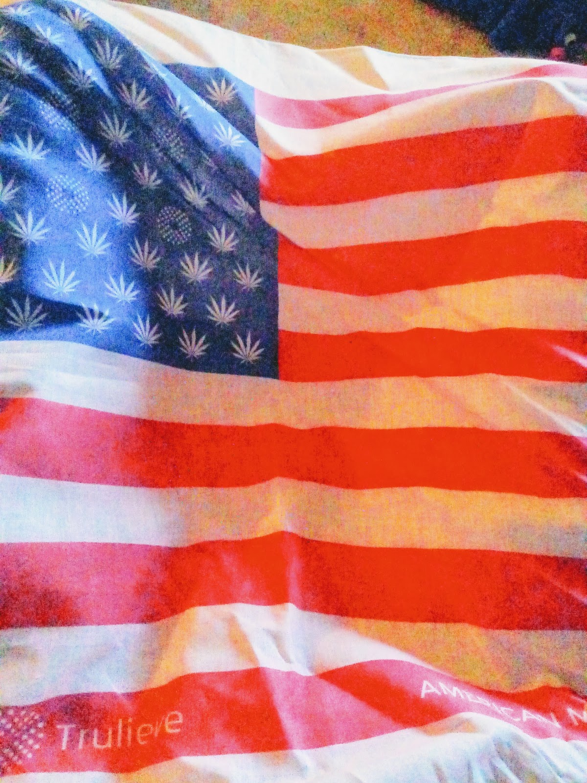 Trulieve Fernandina Beach Dispensary Photo 9