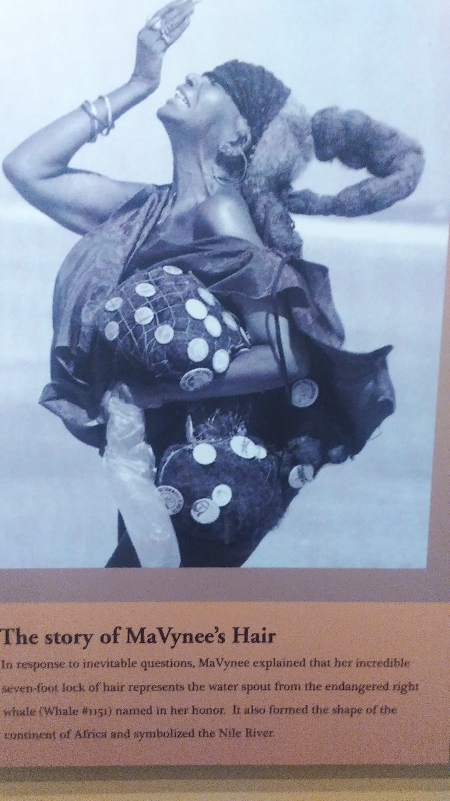 A.L. Lewis Museum at American Beach Photo 8