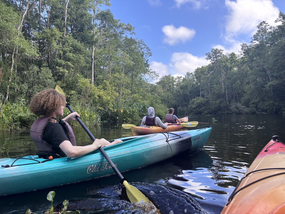 Amelia Adventures Photo 1