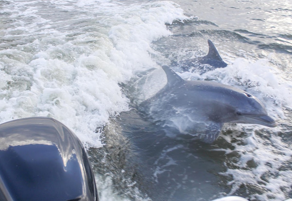 Amelia Adventures Photo 4