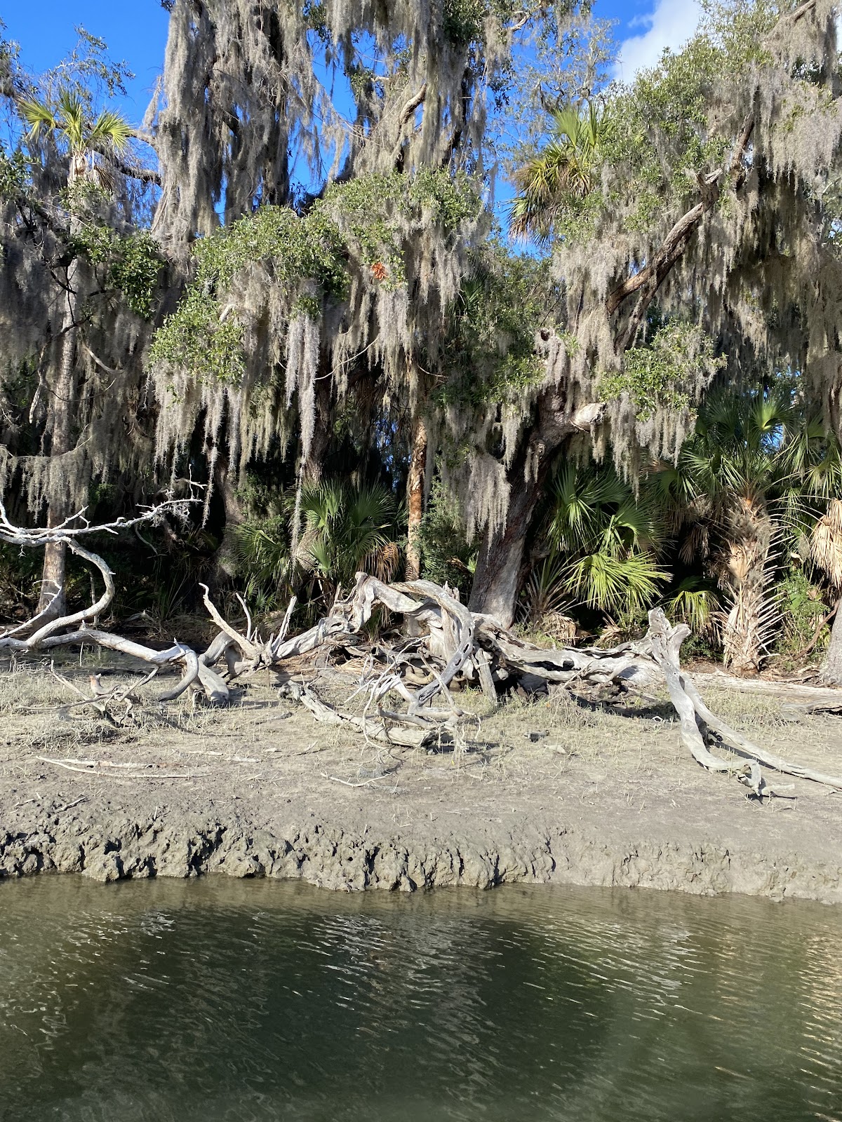 Amelia Adventures Photo 5