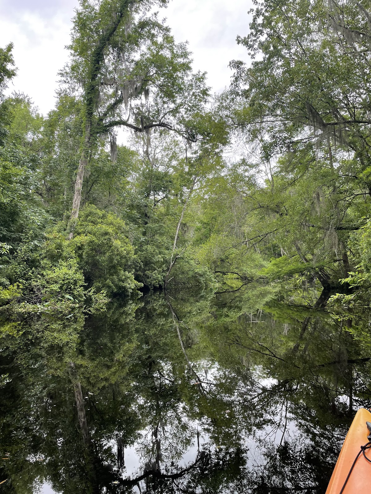 Amelia Adventures Photo 6