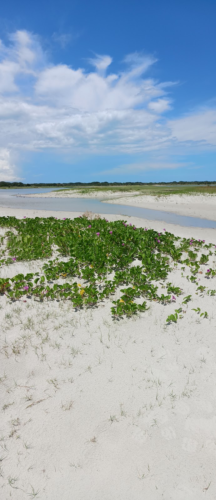 Amelia Adventures Photo 8