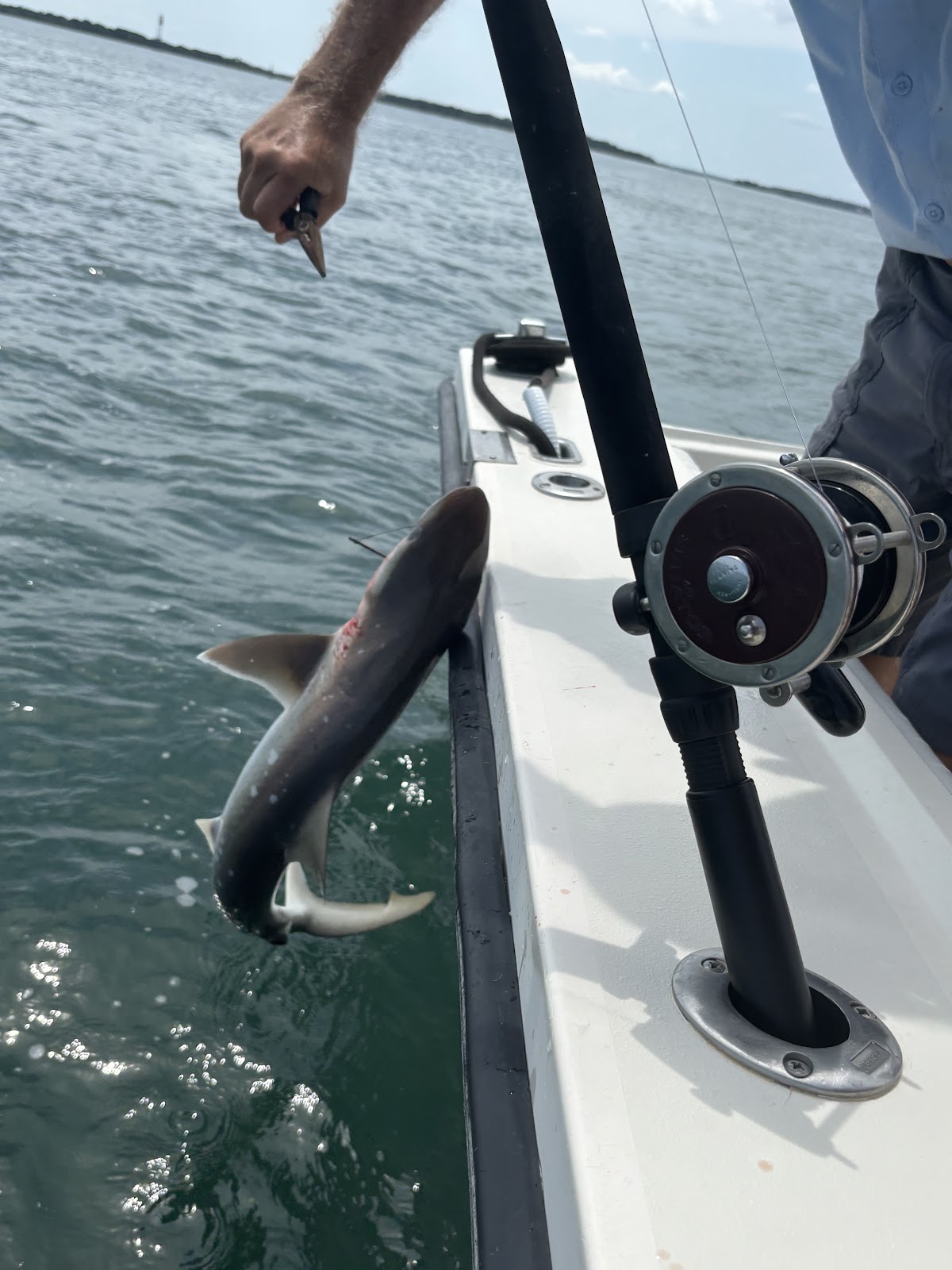 Amelia Family Fishing Charters Photo 6