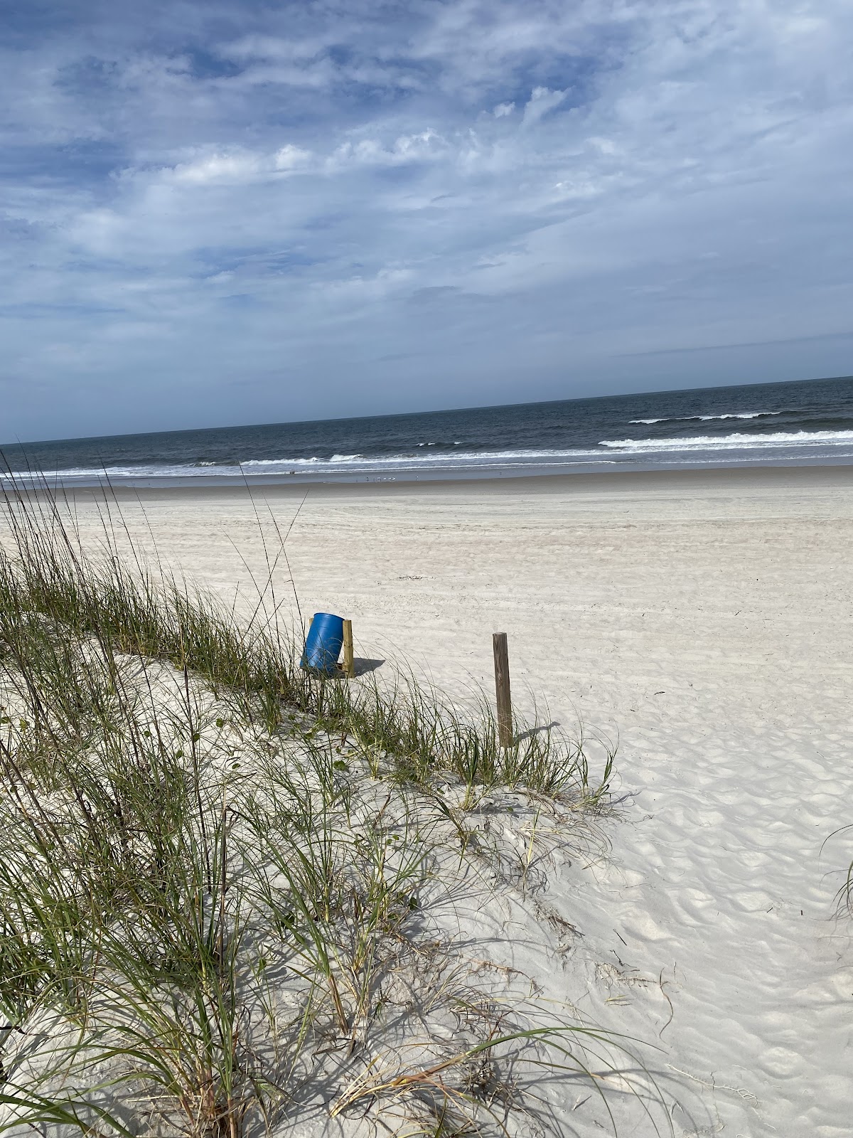 Amelia Island Board Rental Tours Photo 5