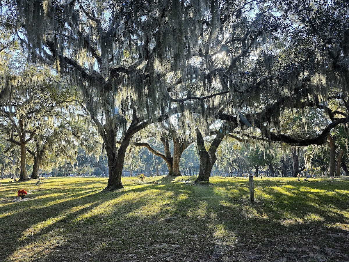 Amelia Island Historic Tours Photo 4