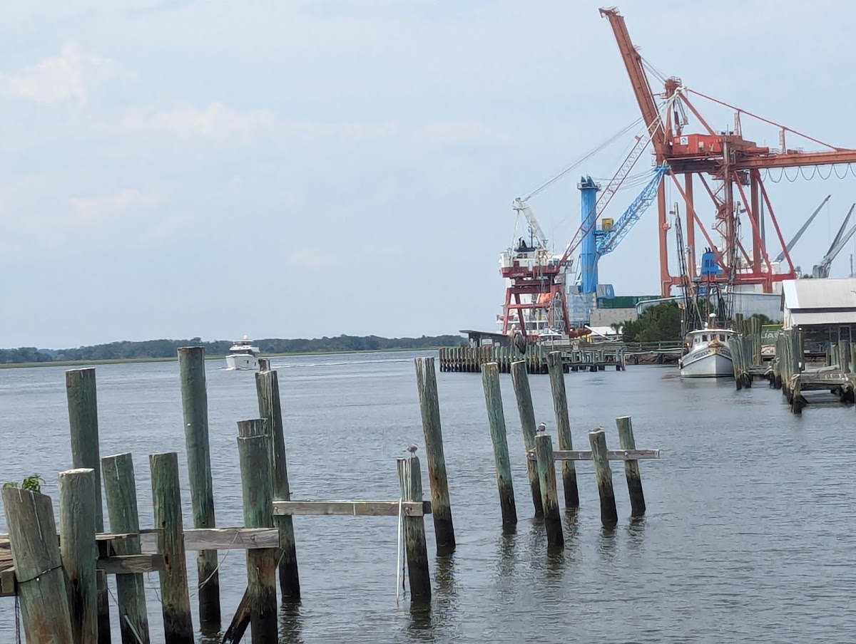 Amelia Island Historic Tours Photo 8