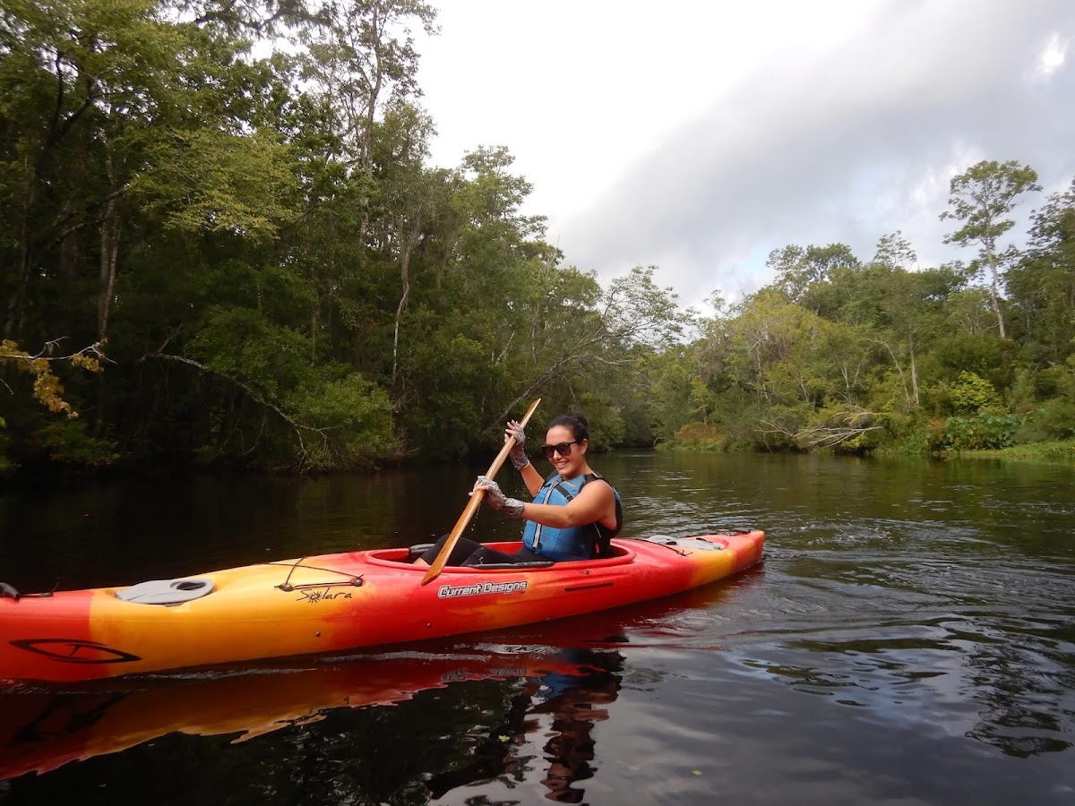 Amelia Island Kayak Excursions Photo 1