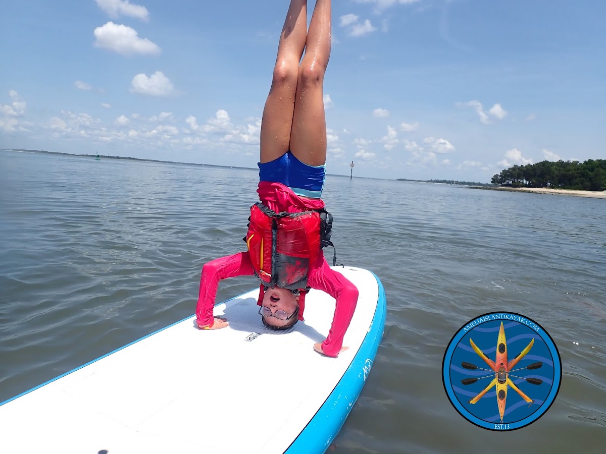Amelia Island Kayak Excursions Photo 6