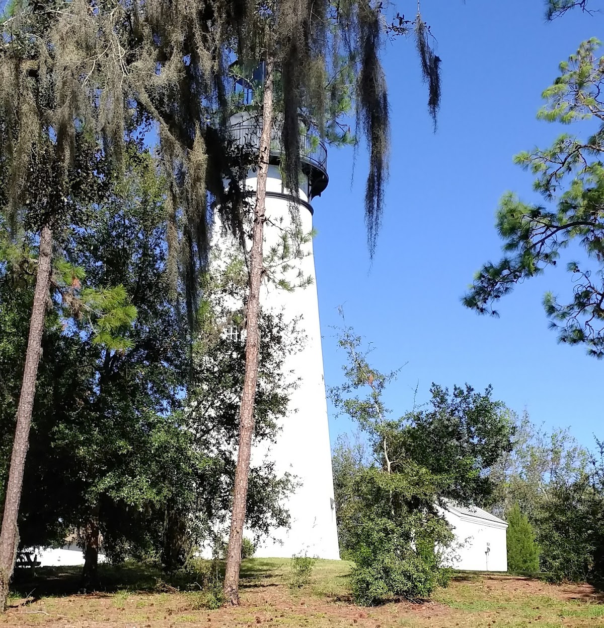 Amelia Island Lighthouse Photo 3