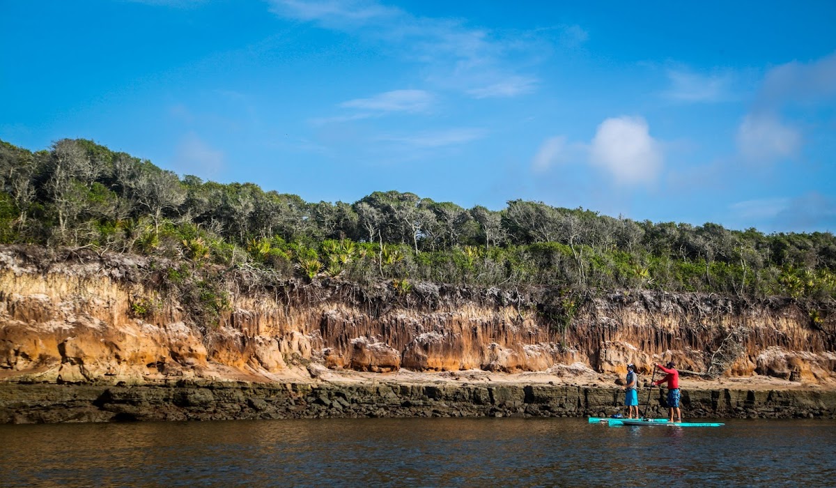 Amelia Island Paddle Surf Company Photo 6