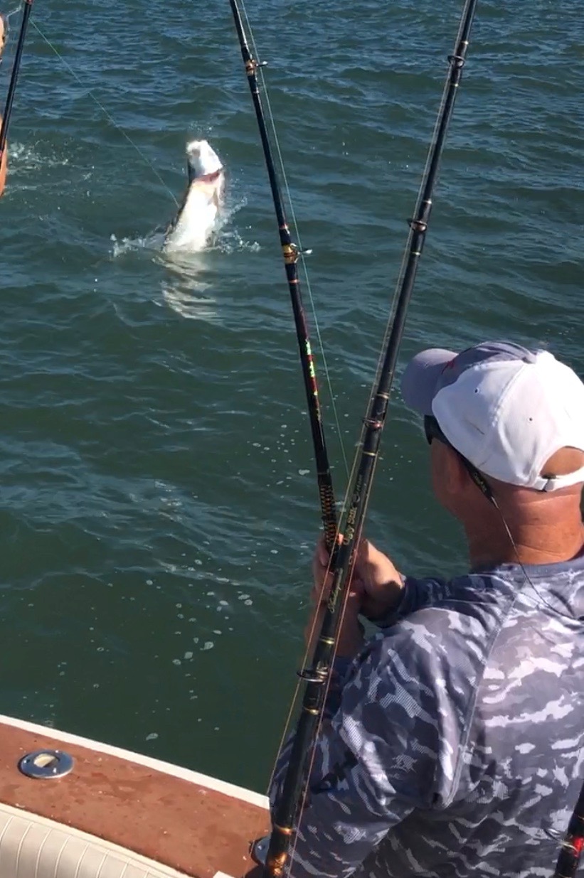 Amelia Island Sport Fishing Photo 8