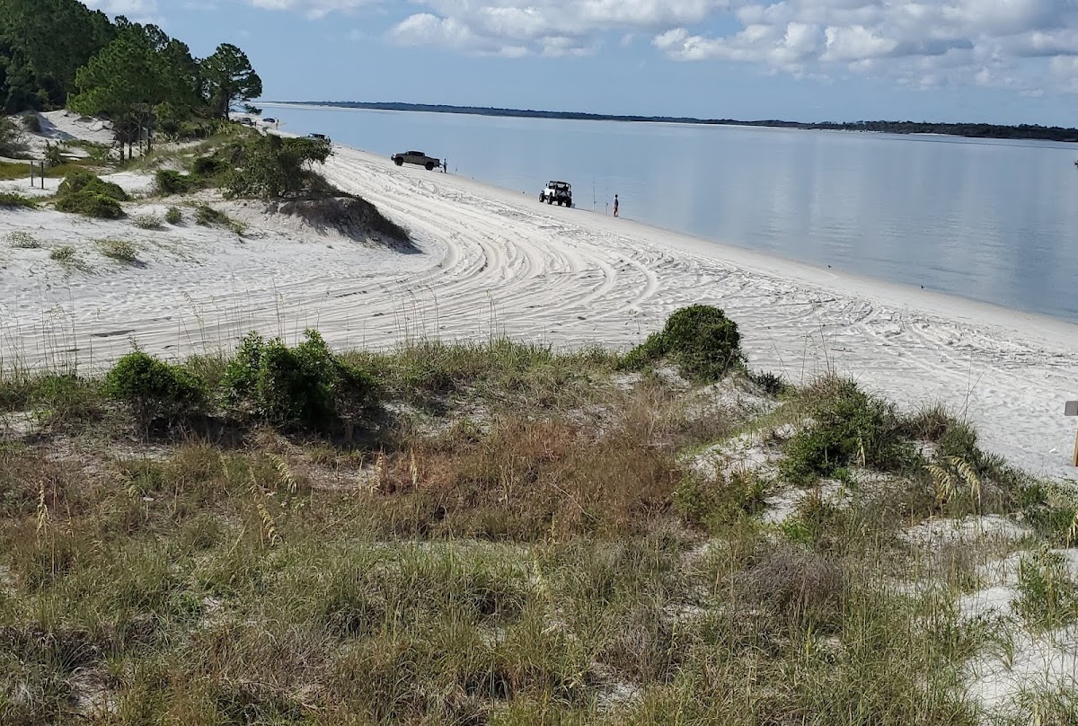Amelia Island State Park Photo 5