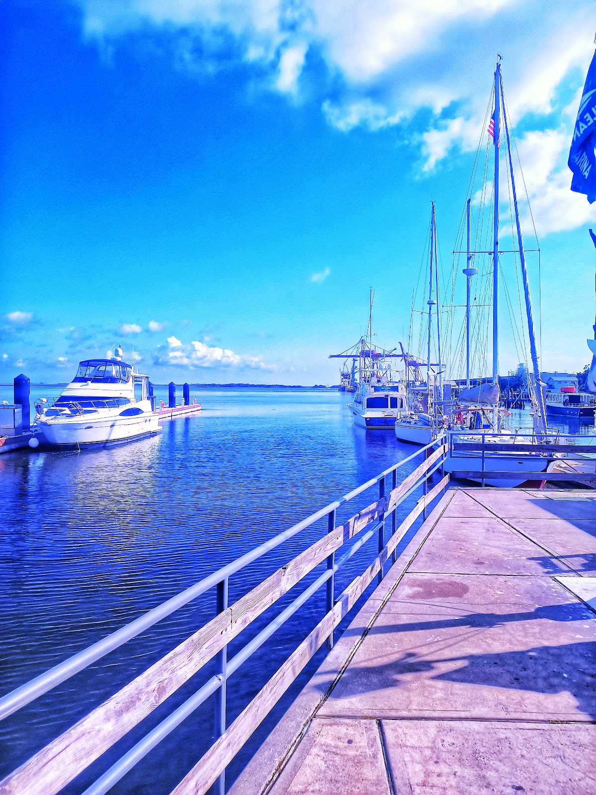 Amelia Island Welcome Center Photo 4