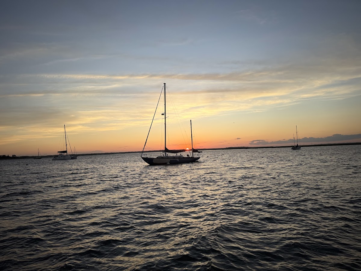 Amelia River Cruises & Charters Photo 1