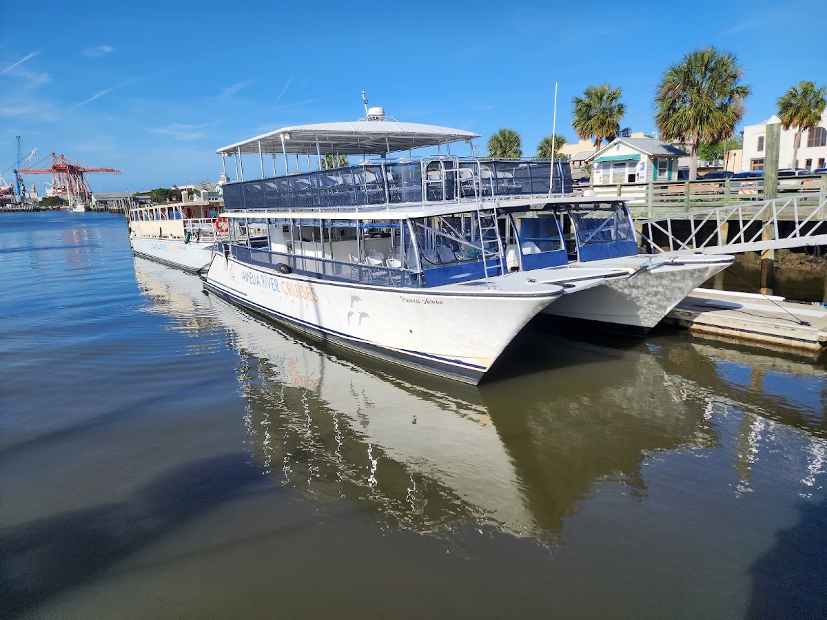 Amelia River Cruises & Charters Photo 3