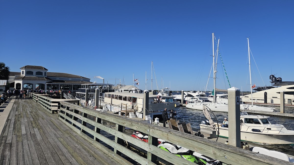 Amelia River Cruises & Charters Photo 6