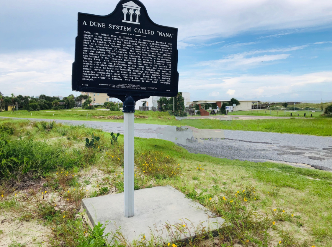 American Beach Nana Sand Dune Photo 4