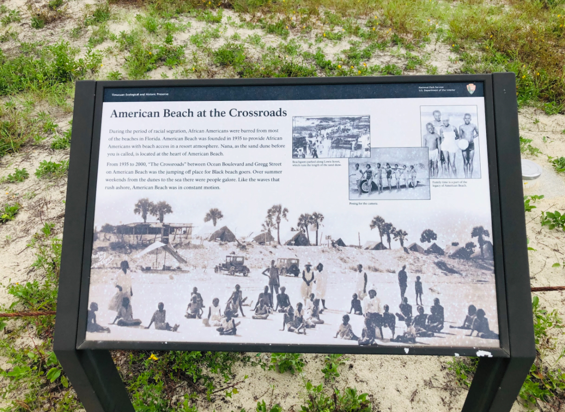 American Beach Nana Sand Dune Photo 5