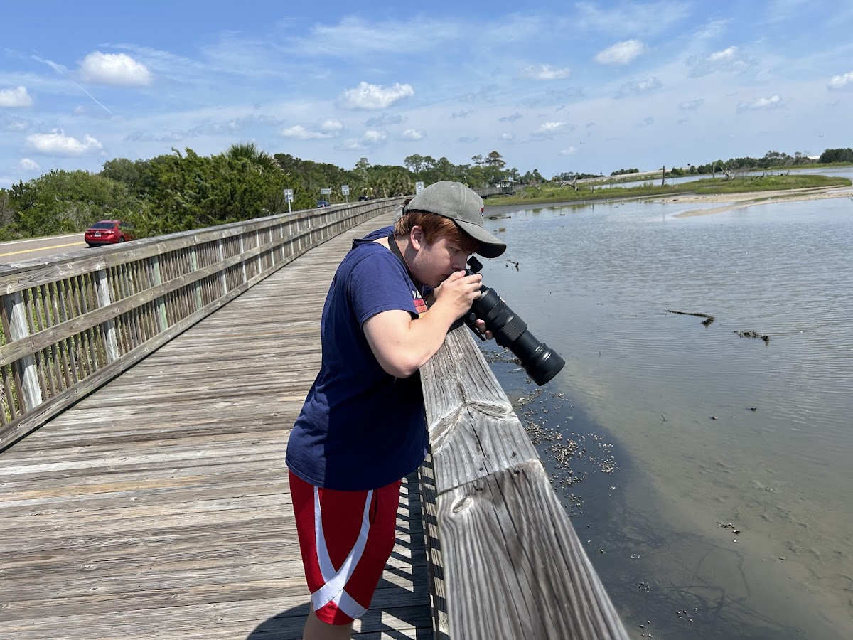 Birdwatch Station. Photo 1