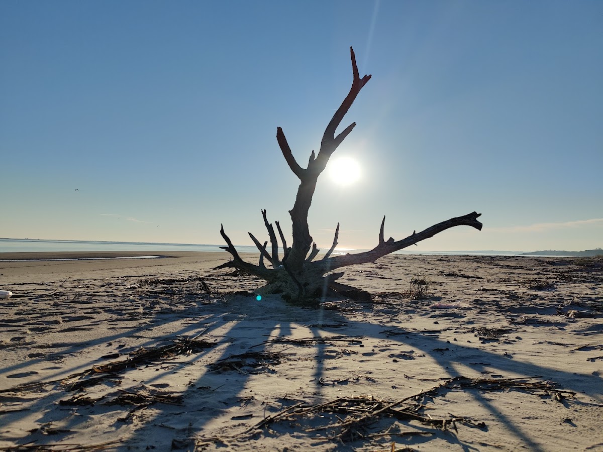 Birdwatch Station. Photo 2