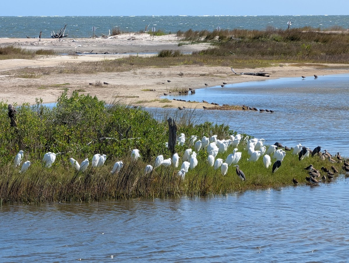 Birdwatch Station. Photo 3