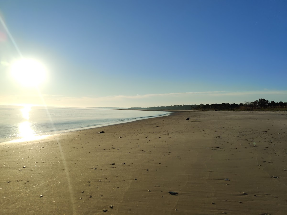 Birdwatch Station. Photo 4