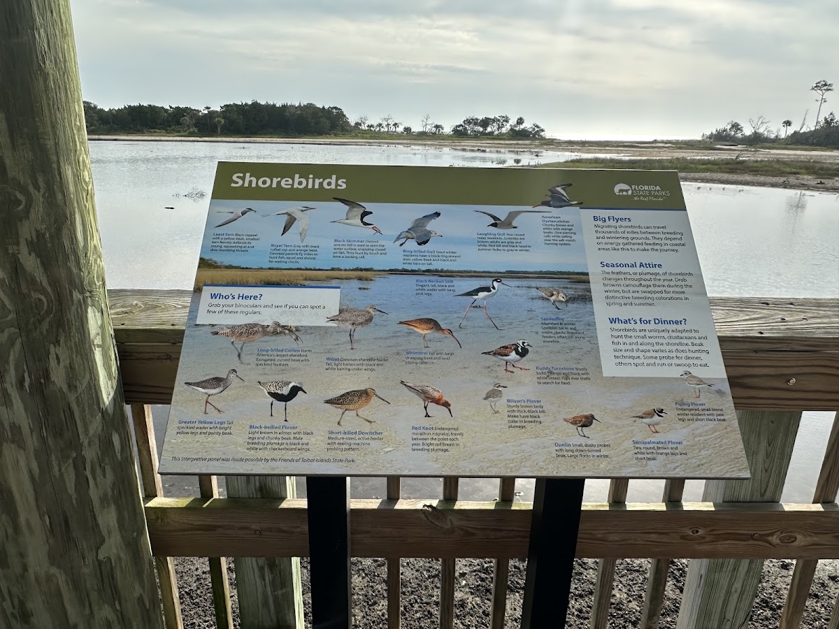 Birdwatch Station. Photo 5