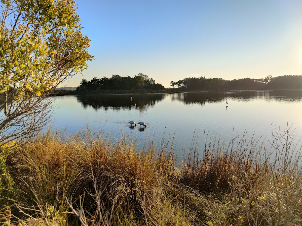 Birdwatch Station. Photo 7